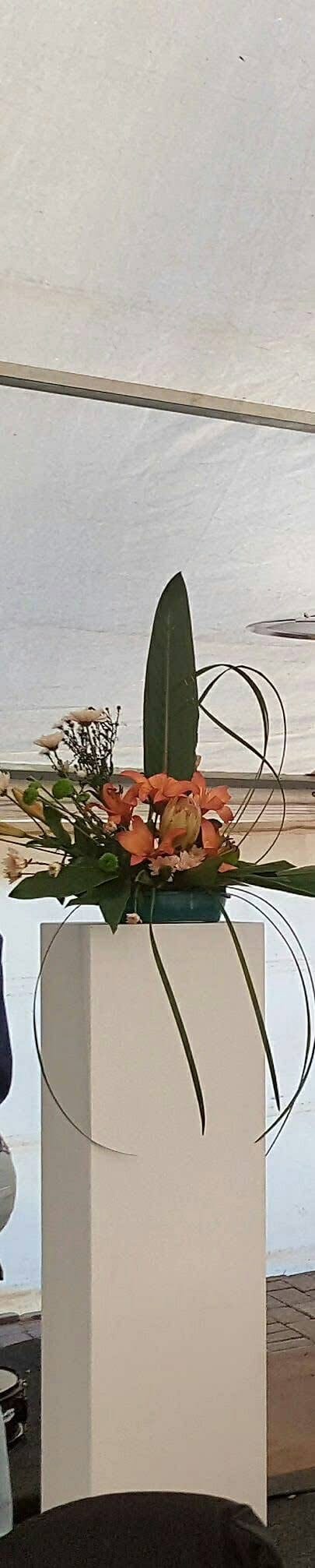 From the studio photo 61