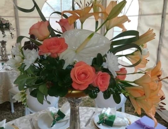 Roses photo 1