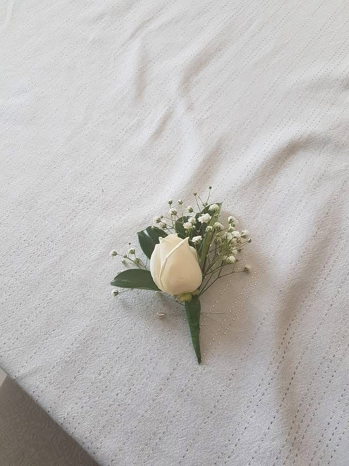 Roses photo 23