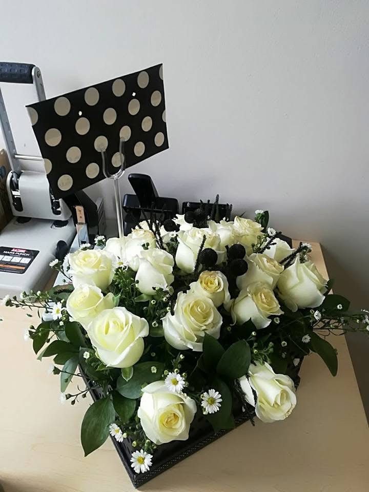 Roses photo 29